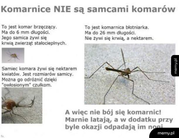 Znaj różnicę