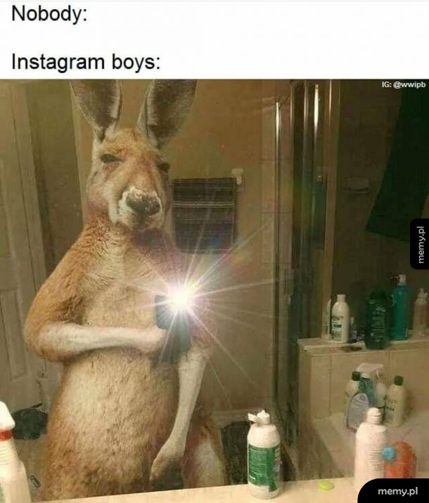 Instagram