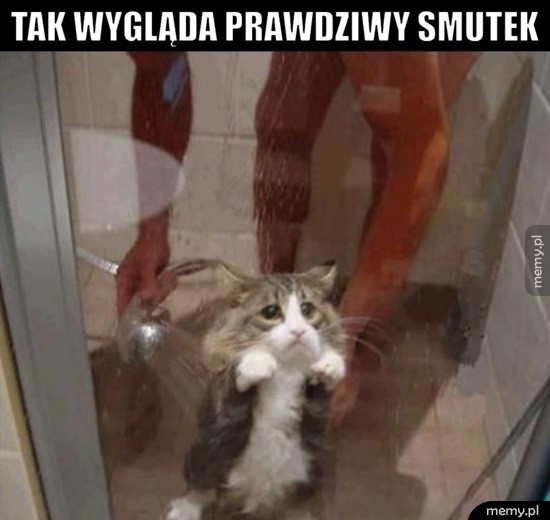 Prawdziwy smutek