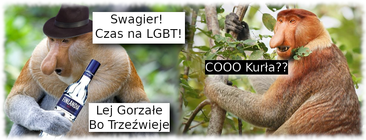 LGBT według szwagra