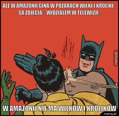 Ale w Amazonii giną w pożarach wilki i króliki... są zdjęcia... widziałem w telewizji... W Amazonii nie ma wilków i królików