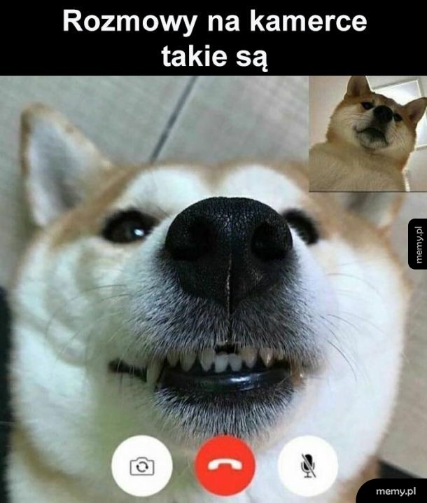 Rozmowy na kamerce