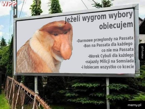Wszystko dla łobywateli
