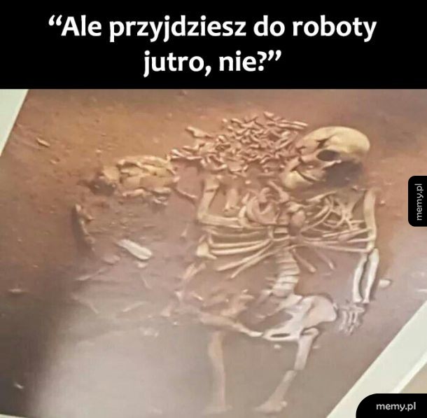 Praca w korpo
