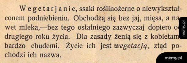 Vege
