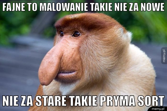 Fajne to malowanie takie nie za nowe Nie za stare takie pryma sort