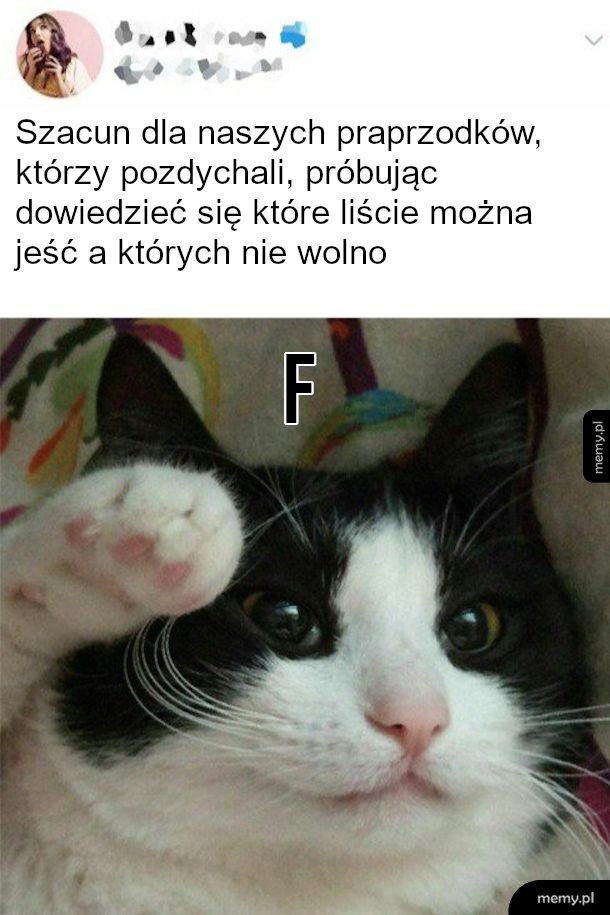 Zatrzymaj się na chwilę w ciszy