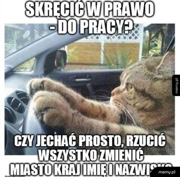 Gruba rozkmina