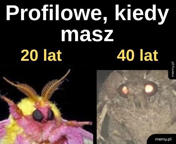 Profilowe