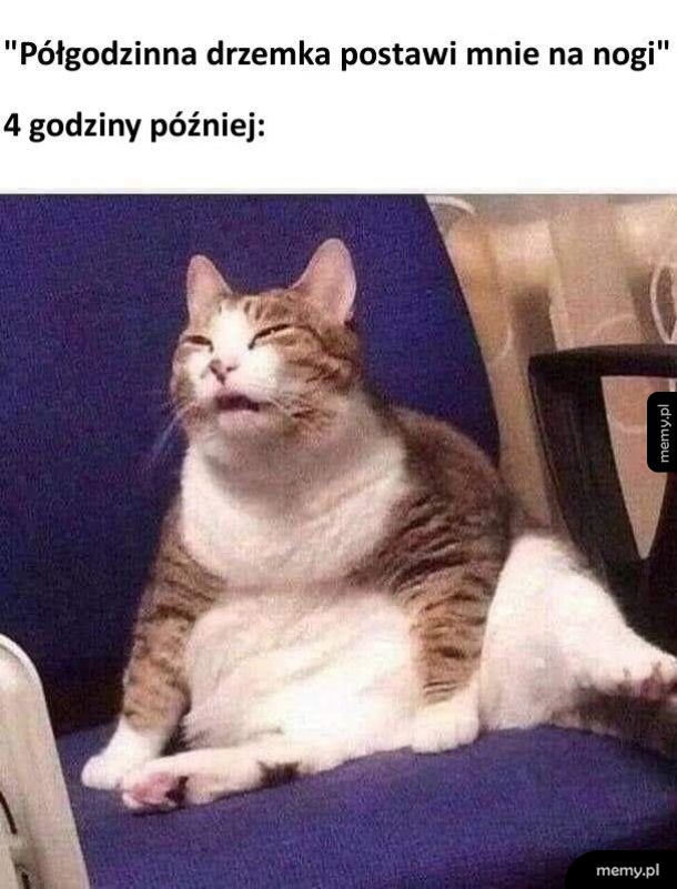 Zbyt długa drzemka
