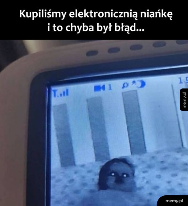 Elektroniczna niania