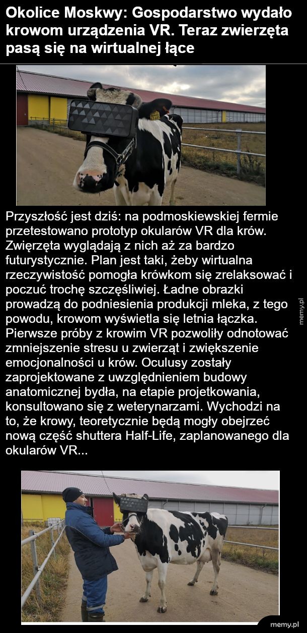 Wirtualna łąka