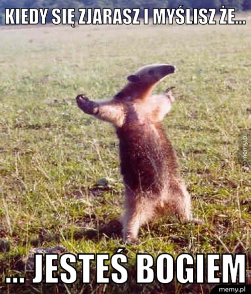 Kiedy się zjarasz i myślisz że... ... jesteś bogiem