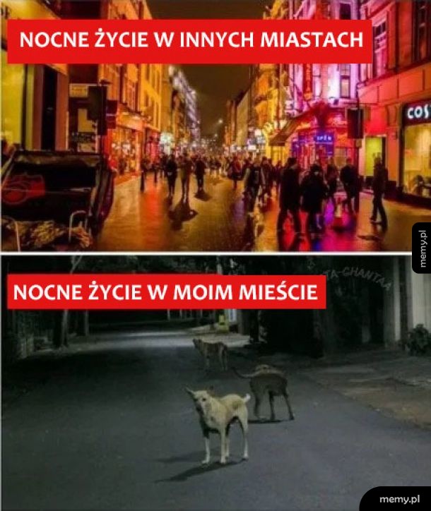 Nocne życie
