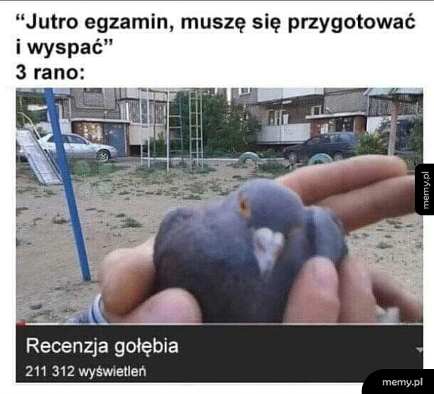 Typowa niedziela
