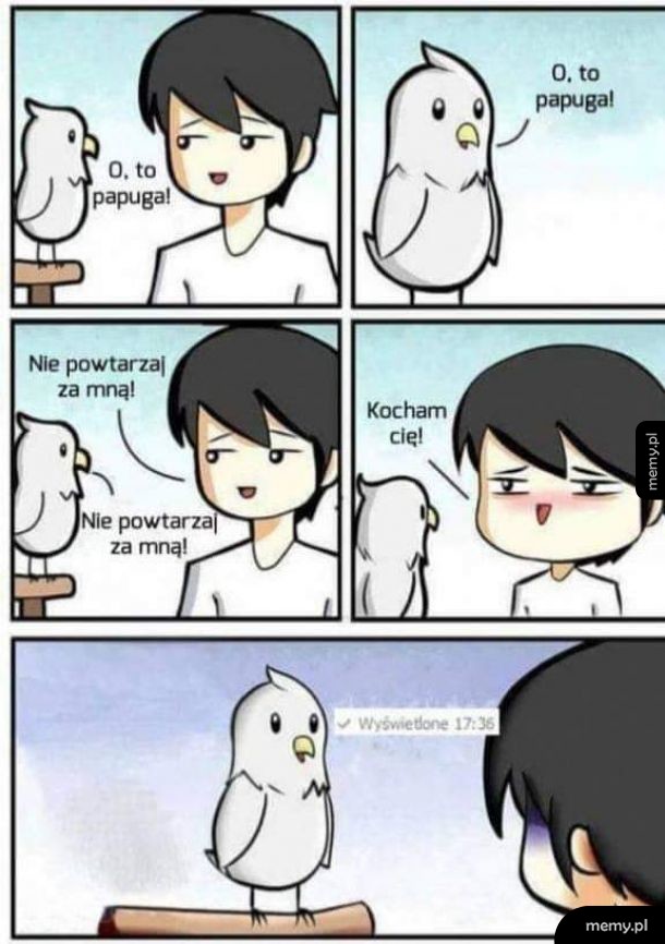 Papuga