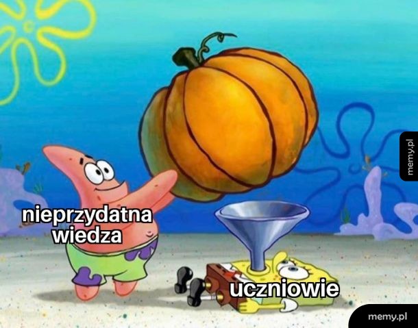 System edukacji