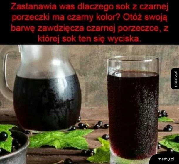 Taka ciekawostka xD