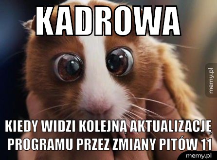 Kadrowa Kiedy widzi kolejną aktualizację programu przez zmiany PITów 11
