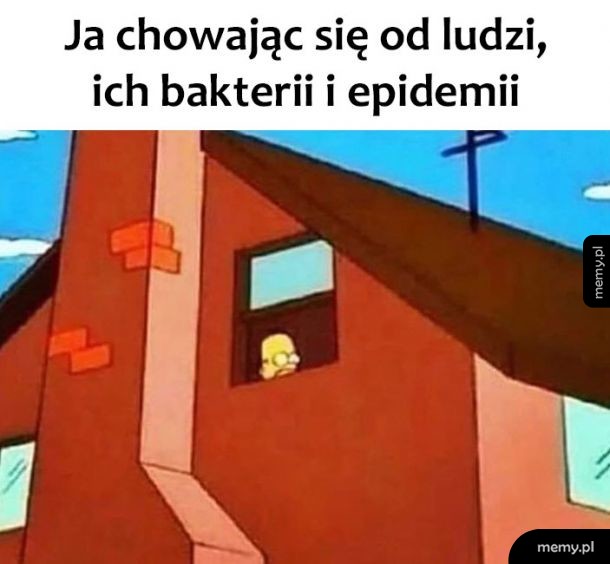 W ukryciu