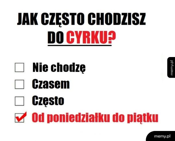 Cyrk