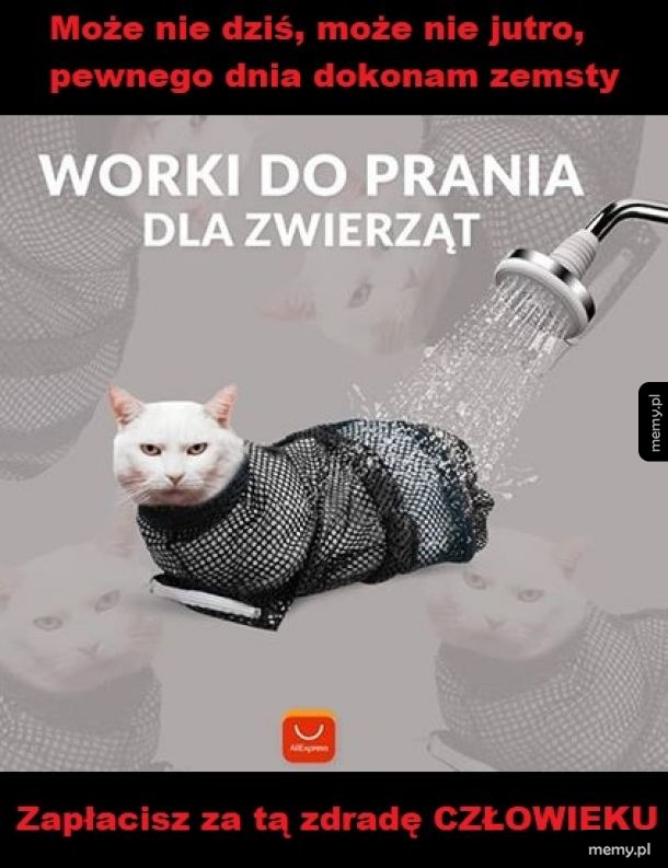 Zdrada