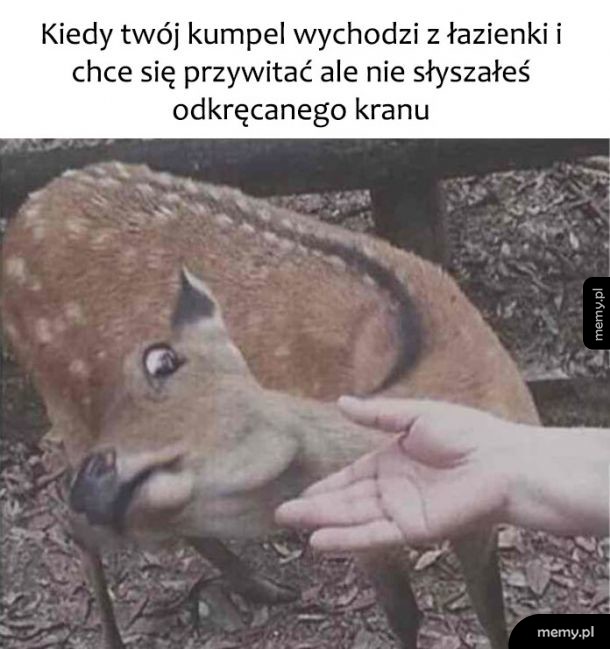 Kumpel