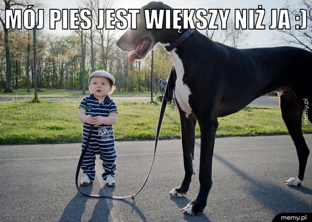 Mój pies jest większy niż ja :) 