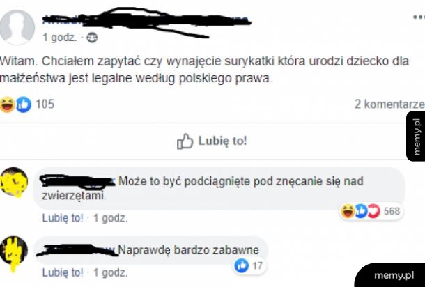 Biedne zwierzę