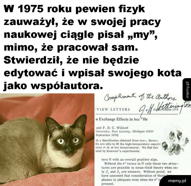 Kitku naukowiec