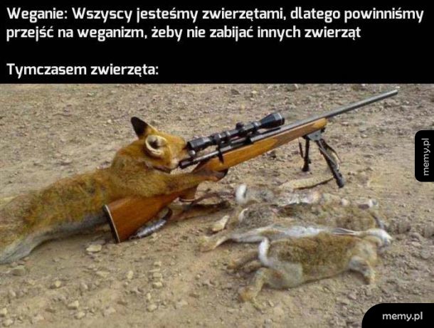 Natura ma inne zdanie na ten temat