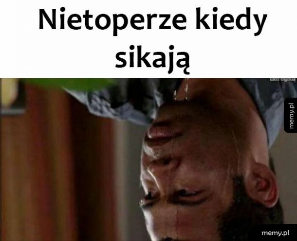 Nietoperze