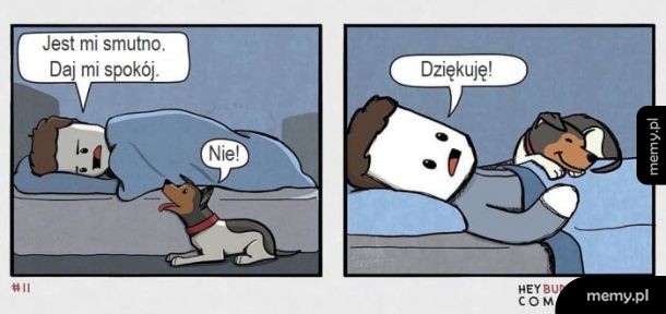 Pieseł