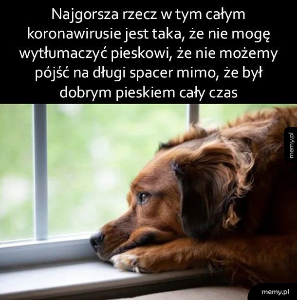Najgorsze