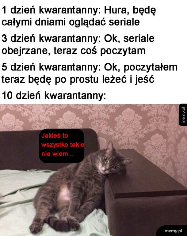 Rozkminy
