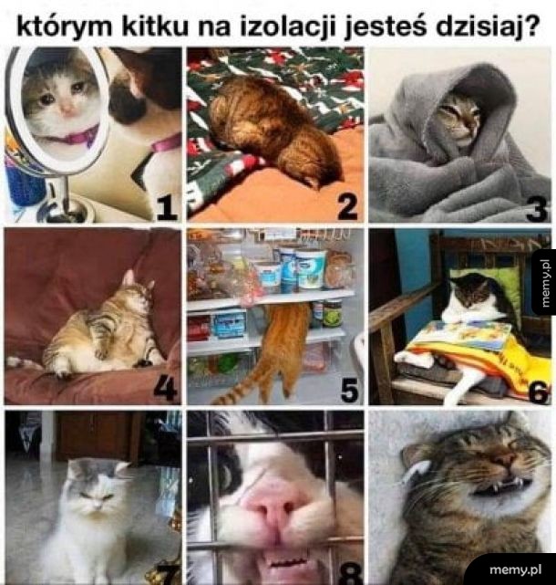Którym jesteś?