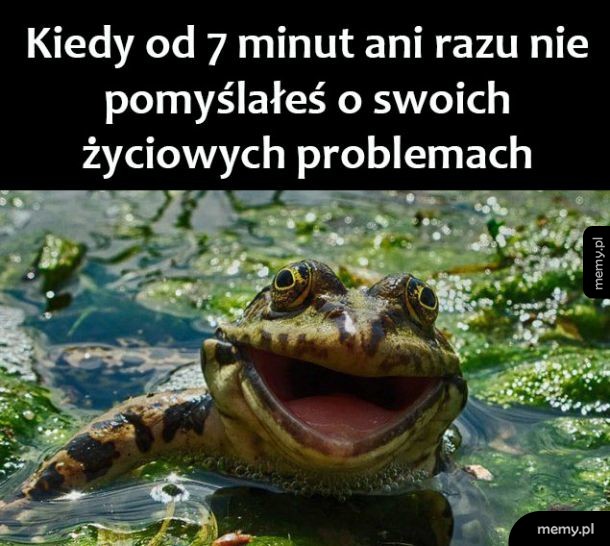 Problemy życiowe