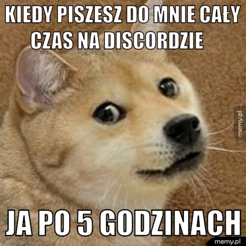 Kiedy piszesz do mnie cały     czas na discordzie         ja po 5 godzinach