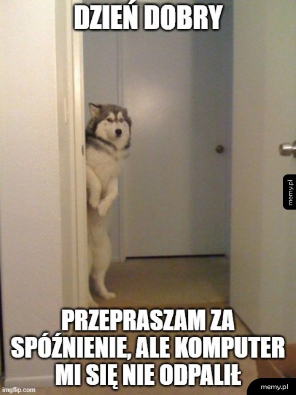 Taki mamy klimat