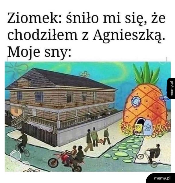 Sny