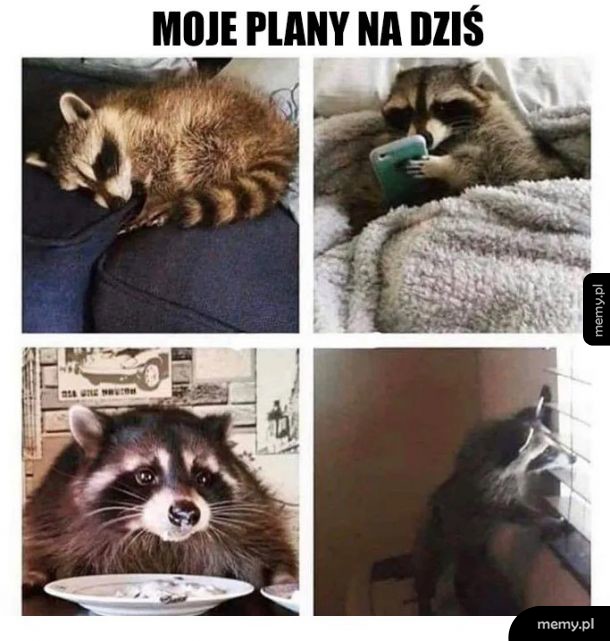 Plany