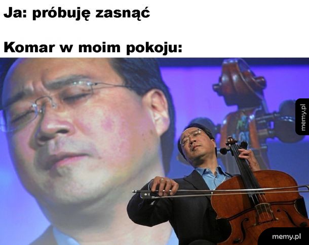 Komar