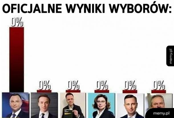 Wyniki wyborów
