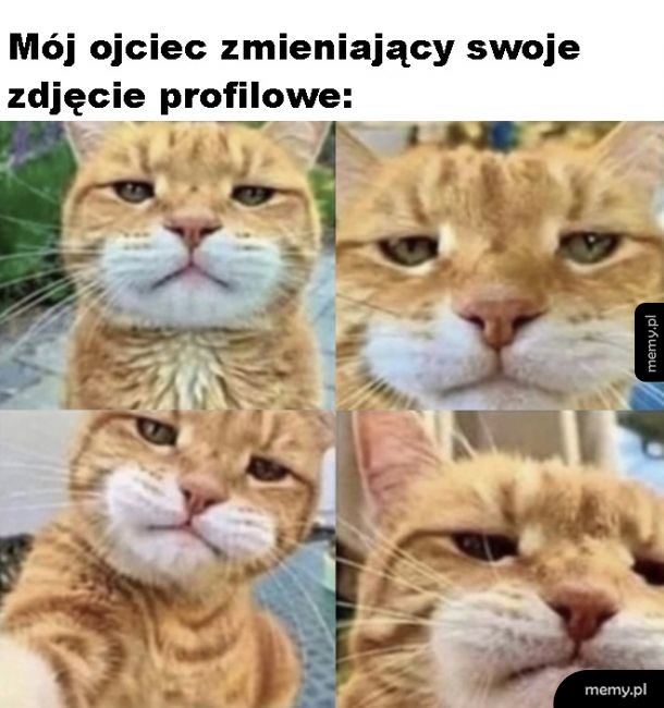 Zdjęcie profilowe