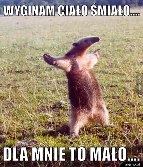 WYGINAM CIAŁO ŚMIAŁO.... DLA MNIE TO MAŁO....