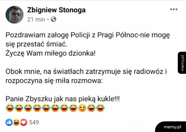 Stonoga