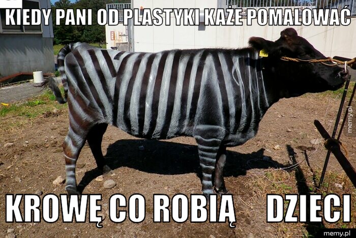 Kiedy pani od plastyki każe pomalować krowę co robią     DZIECI