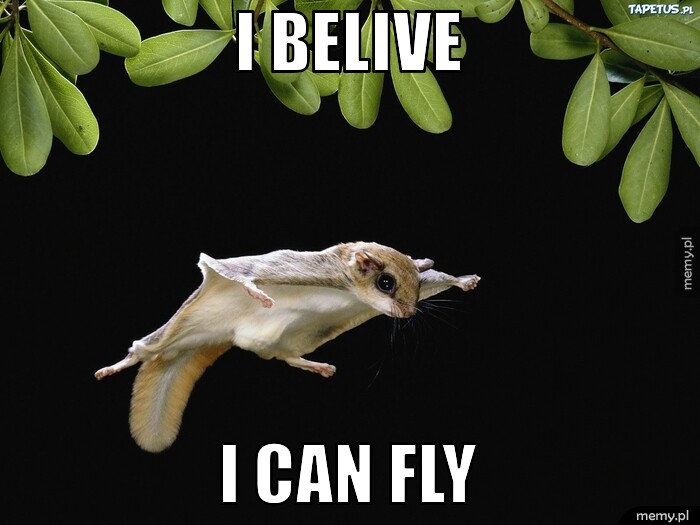 I belive i can fly