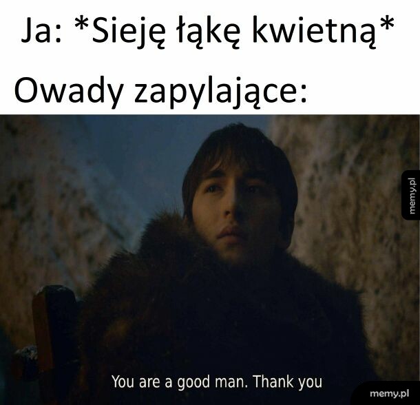 Łąka