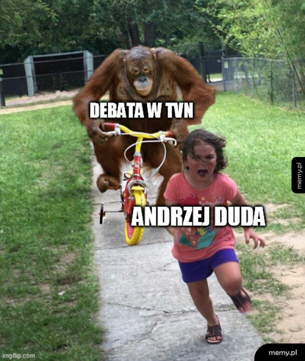 Debata